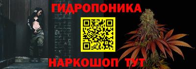 крисы Кунгур