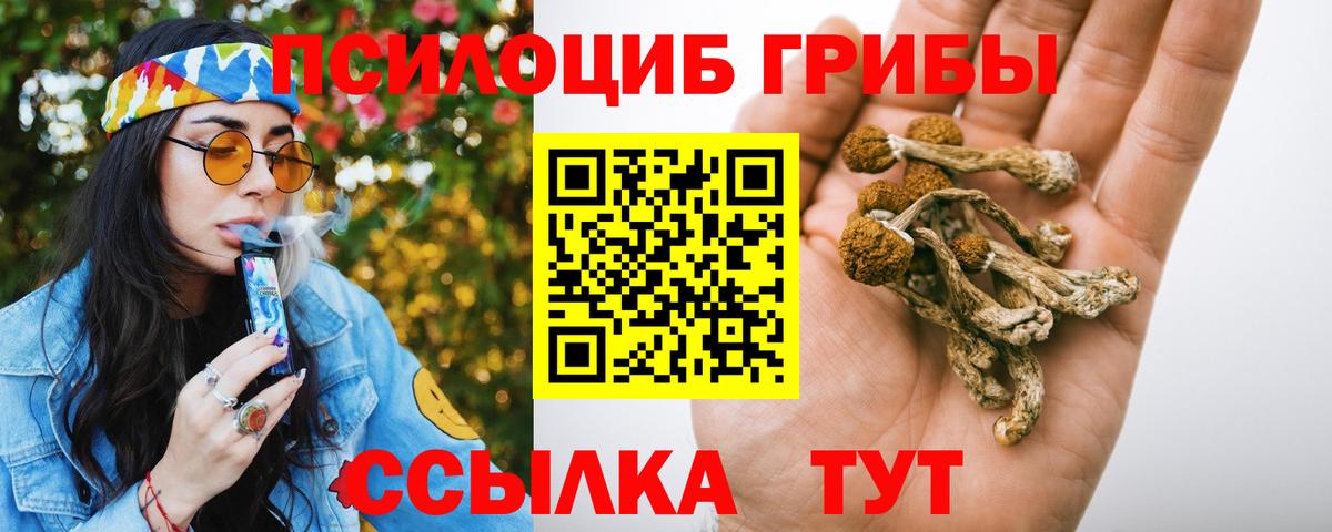 Псилоцибиновые грибы прущие грибы Железноводск